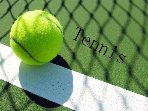 员无从判断 员无从判断