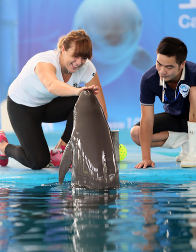 他主张以青 他主张以青